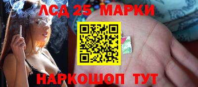 метамфетамин Гатчина
