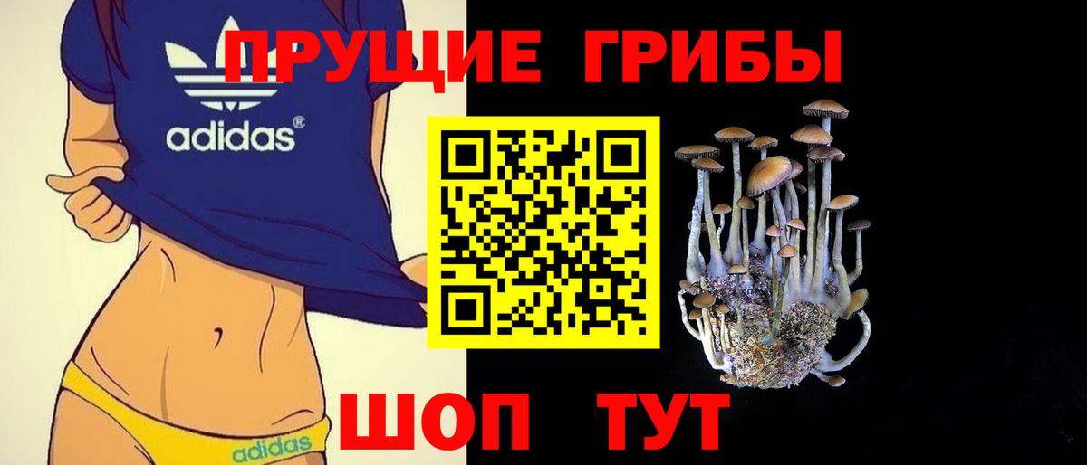 Псилоцибиновые грибы прущие грибы Михайловск