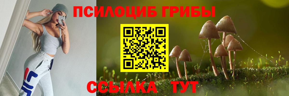 Михайловск  Галлюциногенные грибы Magic Shrooms  цена   Вход с VPN 